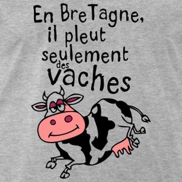 IL PLEUT DES VACHES