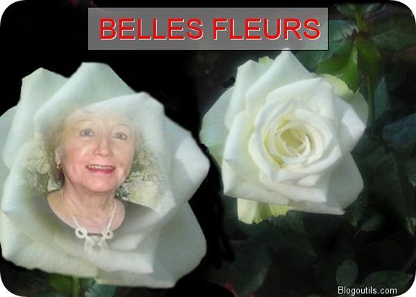 UNE FLEUR PARMI LES FLEURS