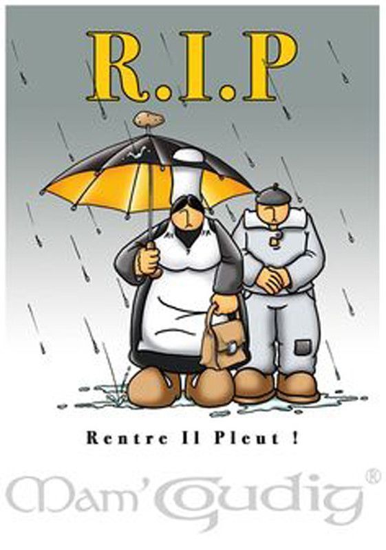 RENTRE IL PLEUT