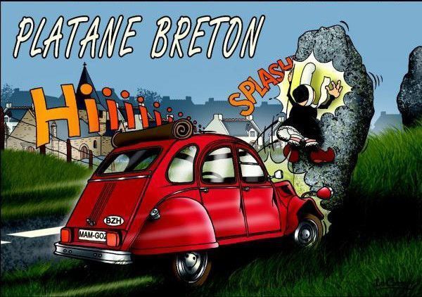 PLATANE BRETON